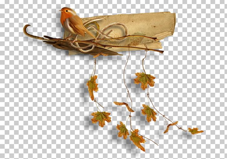 Autumn Season PNG, Clipart, Arthropod, Author, Autumn, Branch, Digital Image Free PNG Download