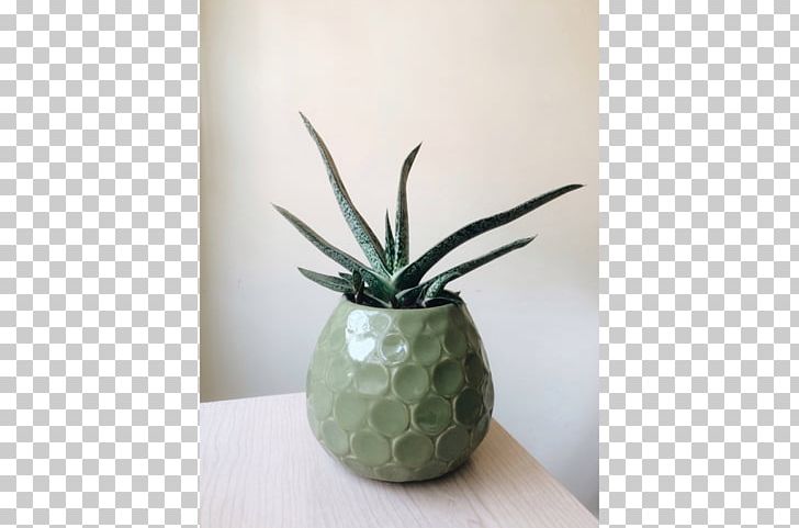 Ceramic Flowerpot Agave INAV DBX MSCI AC WORLD SF PNG, Clipart, Agave, Ceramic, Flowerpot, Inav Dbx Msci Ac World Sf, Others Free PNG Download