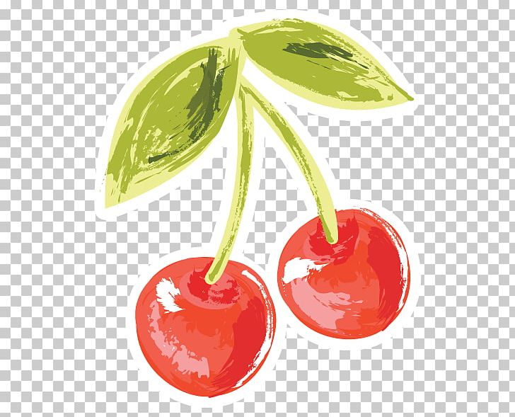 Cherry Natural Foods Superfood PNG, Clipart, Cherry, Food, Fruit, Natural Foods, Plant Free PNG Download