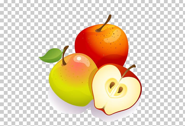 Cloverleaf Books: Fall Apples: Crisp And Juicy Apples And Oranges Stock Photography PNG, Clipart, Apple, Apple Fruit, Apple Logo, Apples And Oranges, Apple Tree Free PNG Download