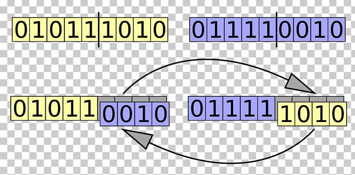 Crossover Genetic Algorithm Genetics Computer Science PNG, Clipart, Algorithm, Angle, Area, Aretus, Brand Free PNG Download