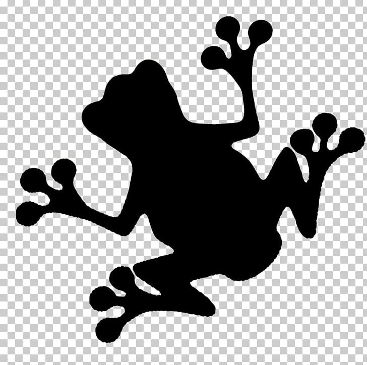 Frog And Toad Edible Frog Silhouette PNG, Clipart, Amphibian, Animals, Black, Black And White, Drawing Free PNG Download
