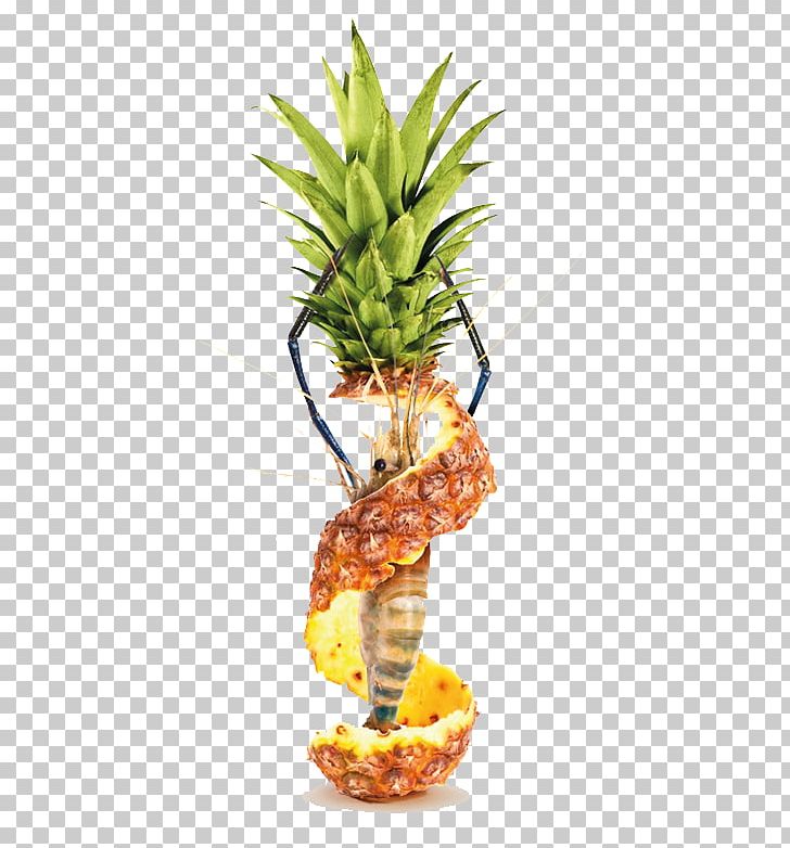 Stock Photography Pineapple Bromelain PNG, Clipart, Ananas, Bromeliaceae, Cartoon Pineapple, Cut, Cut Out Free PNG Download