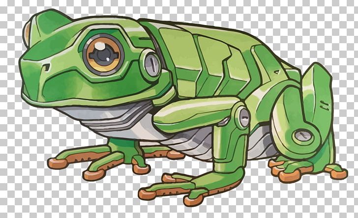 True Frog Toad PNG, Clipart, Animals, Computer Network, Cute Frog, Encapsulated Postscript, Fauna Free PNG Download