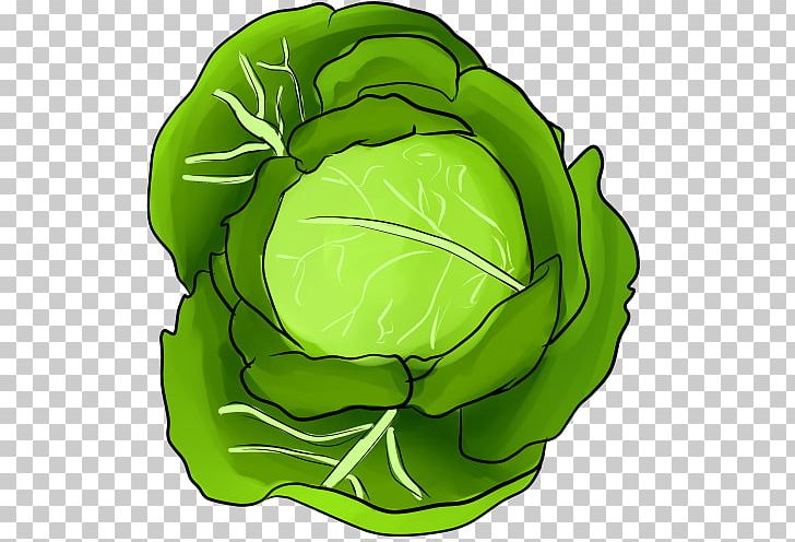 Cabbage Greens Vegetable Leaf PNG, Clipart, Brain, Cabbage, Emoji, Flower, Food Free PNG Download