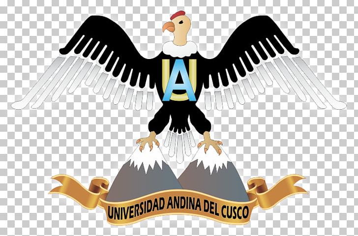 Faculty Of Engineering Of The Andean University Of Cusco National University Of Saint Anthony The Abbot In Cuzco Provincial Municipality Of Cusco Colegio Arquidiocesano San Antonio Abad PNG, Clipart, Andes, Beak, Bird, Bird Of Prey, City Free PNG Download
