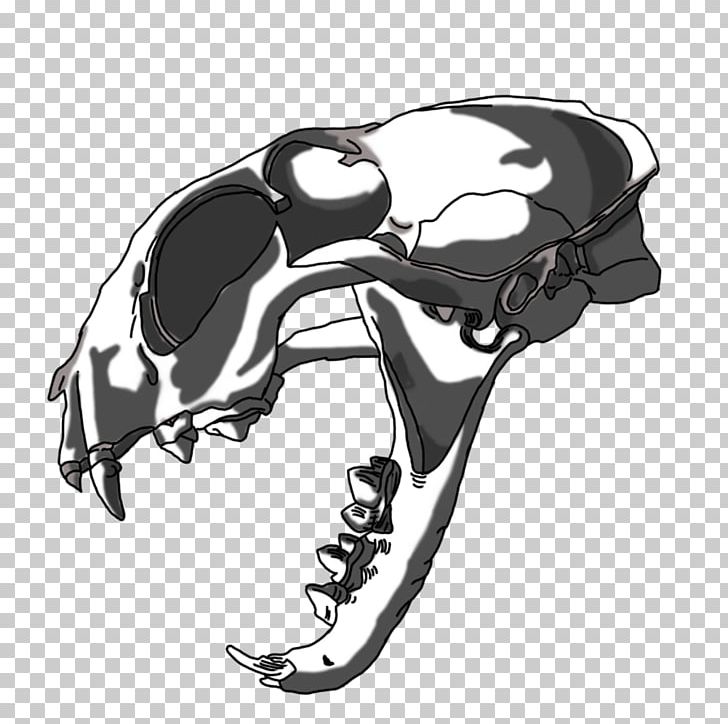 Skull Automotive Design Car Skeleton PNG, Clipart, Animated Cartoon, Automotive Design, Black And White, Bone, Car Free PNG Download
