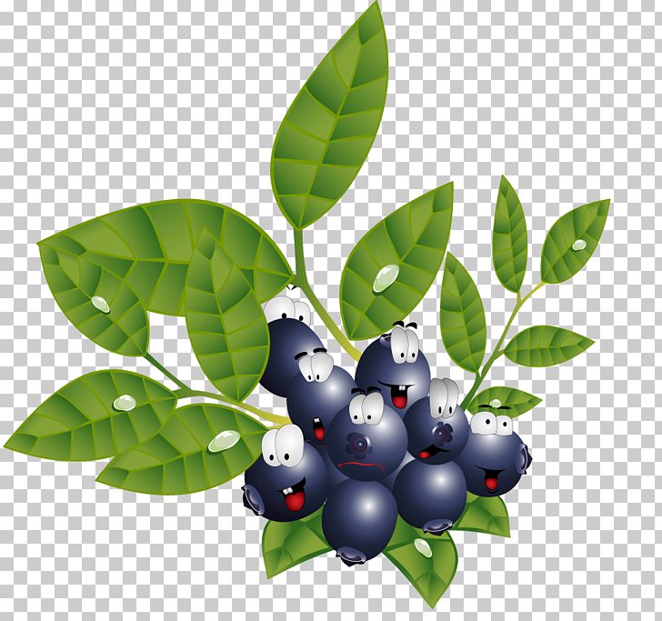 Fruit Vegetable Blackcurrant PNG, Clipart, 3d Villain, 3d Villain Photos, Bilberry, Blackberries, Blueberry Free PNG Download