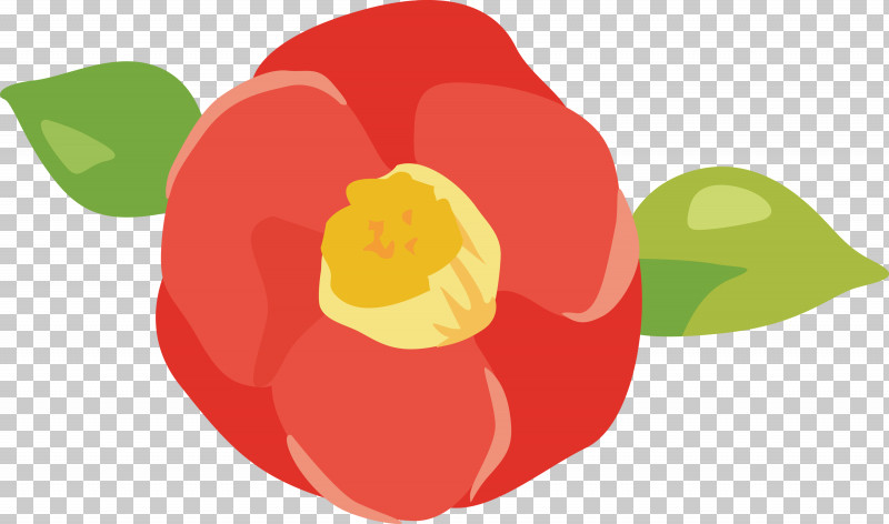 Plant Petal Flower Tulip Bell Pepper PNG, Clipart, Bell Pepper, Flower, Food, Logo, Petal Free PNG Download