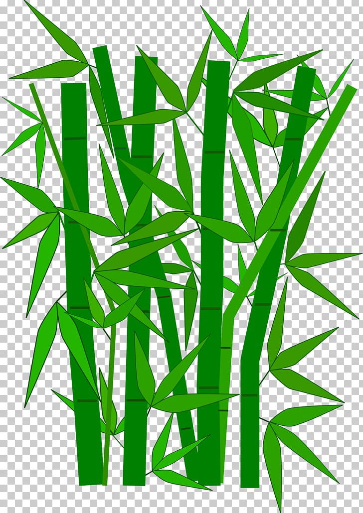 Bamboo PNG, Clipart, Bamboo, Bamboo Textile, Color, Commodity, Grass Free PNG Download