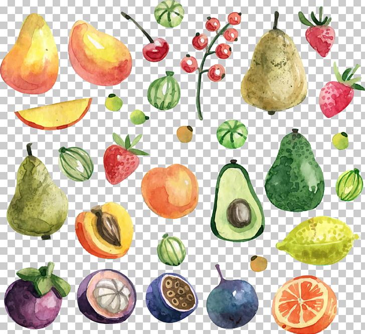 Fruit Watercolor Painting Apricot PNG, Clipart, Avocado, Avocado , Background Green, Diet Food, Download Free PNG Download