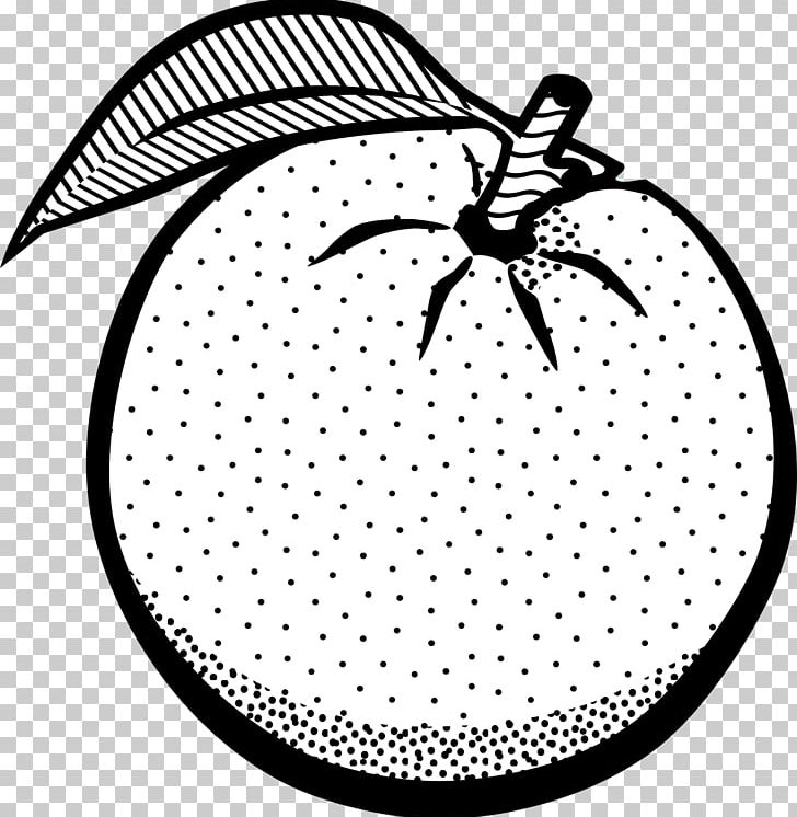 Orange White Fruit Black PNG, Clipart, Artwork, Black, Black And White, Circle, Clip Art Free PNG Download