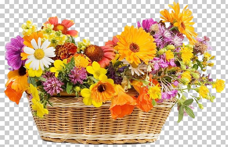 Stock Photography Flower Basket PNG, Clipart, Annual Plant, Artificial Flower, Basket, Chrysanths, Cut Flowers Free PNG Download