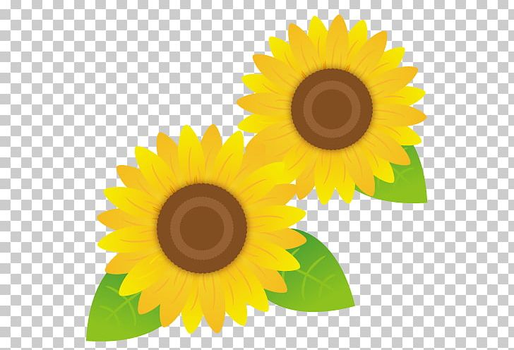 Sunflowers. PNG, Clipart, Automobile Repair Shop, Computer Icons, Daisy Family, Desktop Wallpaper, Eye Free PNG Download