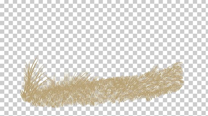Feather Fur Brown PNG, Clipart, Animals, Brown, Feather, Fur, Grass Free PNG Download