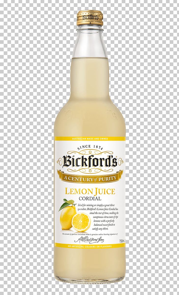 Liqueur Squash Juice Lemon PNG, Clipart, Lemon, Lemon Juice, Liqueur, Squash Free PNG Download