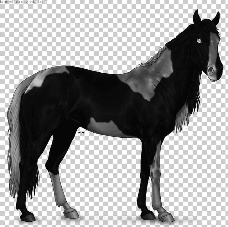 Mustang Stallion Mare American Paint Horse American Quarter Horse PNG, Clipart, American Quarter Horse, Arabian Horse, Black And White, Foal, Horse Free PNG Download