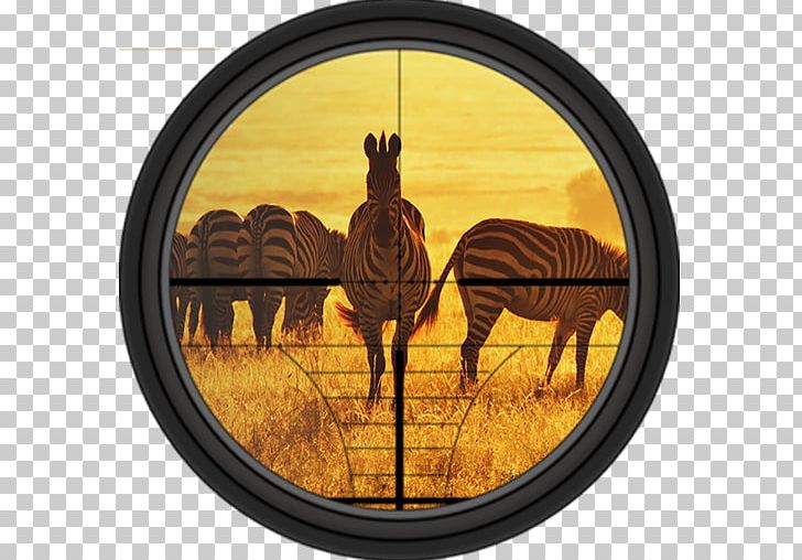 South Africa Kenya Nature Wildlife Safari PNG, Clipart, Africa, African Animals, Conservation, East Africa, Giraffe Free PNG Download