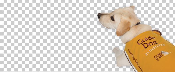 Dog Breed Puppy Companion Dog Snout PNG, Clipart, Animals, Breed, Carnivoran, Clothing, Companion Dog Free PNG Download