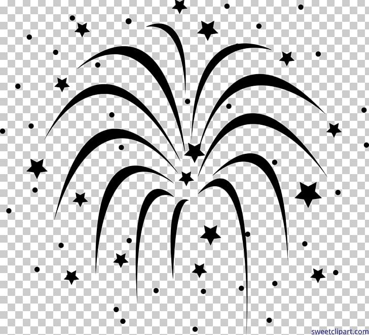 Fireworks Black And White PNG, Clipart, Black, Black And White, Branch, Circle, Desktop Wallpaper Free PNG Download