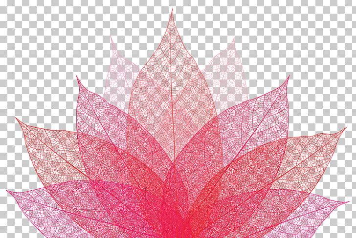 Petal Pink M Leaf Symmetry PNG, Clipart, Flower, Leaf, Muslim Woman, Petal, Pink Free PNG Download