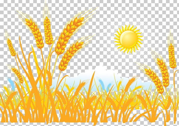 Wheat Sticker PNG, Clipart, Akita, Autumn, Cartoon, Cereal, Cereal Germ Free PNG Download