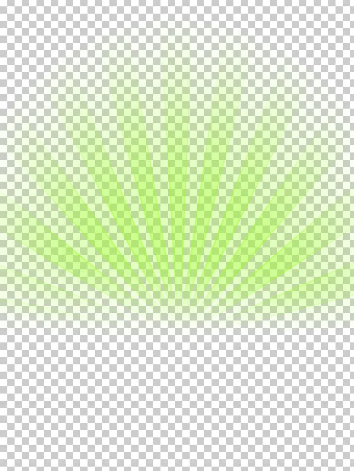 Light Green Sky Leaf PNG, Clipart, Art, Christmas Lights, Effect, Effect Element, Element Free PNG Download