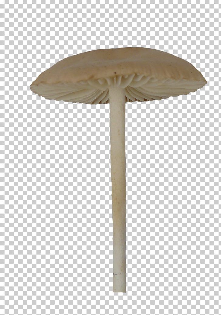 Mushroom Umbrella Fungus Macrolepiota Procera PNG, Clipart, Beach Umbrella, Black, Fungus, Furniture, Macrolepiota Procera Free PNG Download