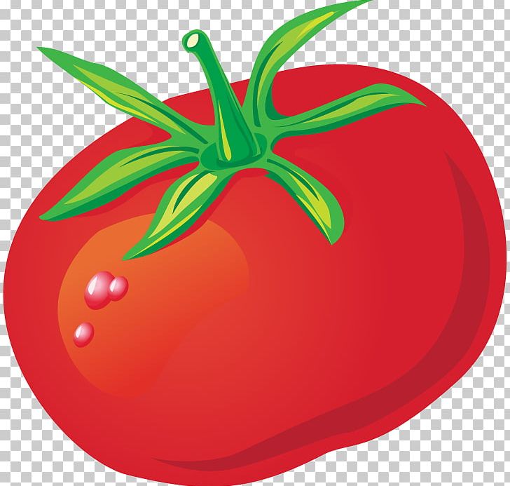 Tomato Euclidean PNG, Clipart, Food, Fruit, Happy Birthday Vector Images, Ketchup, Line Free PNG Download