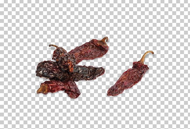 Capsicum Annuum Chili Pepper Pasilla Chipotle Hot Sauce PNG, Clipart, Animal Source Foods, Bell Peppers And Chili Peppers, Bhut Jolokia, Capsicum, Capsicum Annuum Free PNG Download