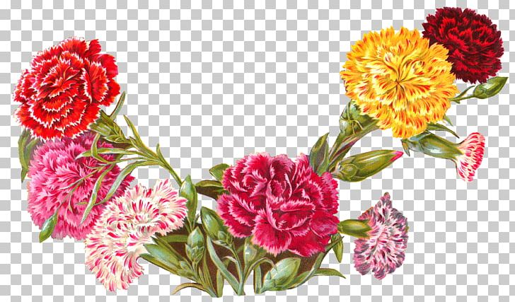 Flower Carnation Floral Design PNG, Clipart, Carnation, Color, Cut Flowers, Desktop Wallpaper, Floral Design Free PNG Download
