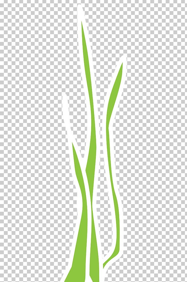 Leaf Green Grasses Plant Stem PNG, Clipart, Flora, Flower, Grass, Grasses, Grass Family Free PNG Download