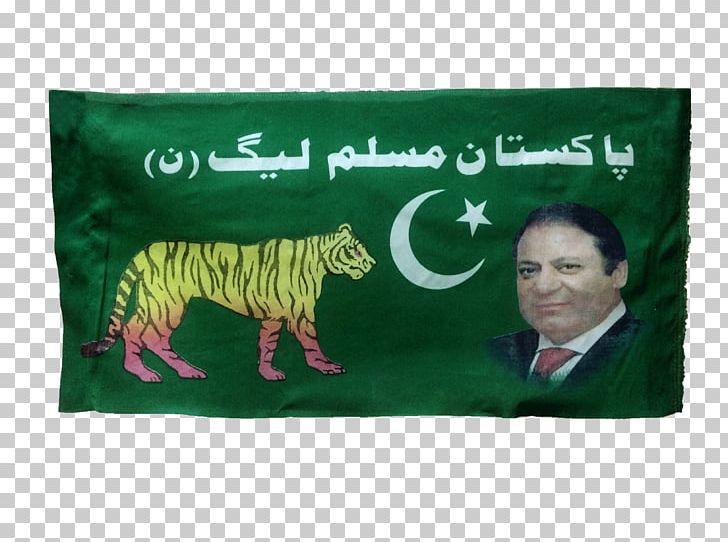 Pakistani General Election PNG, Clipart, 2018, Allindia Muslim League, Business, Election, Election Campaign Free PNG Download