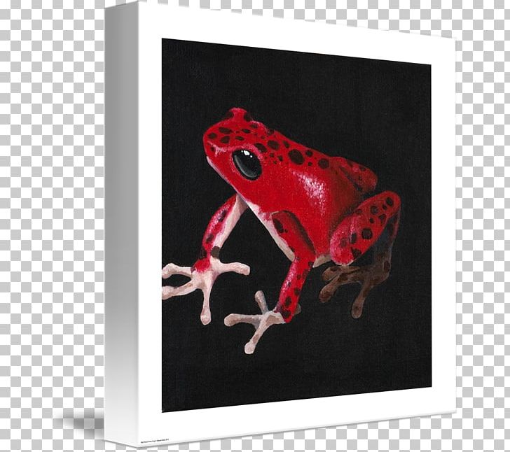 Tree Frog PNG, Clipart, Amphibian, Animals, Frog, Organism, Poison Dart Frog Free PNG Download