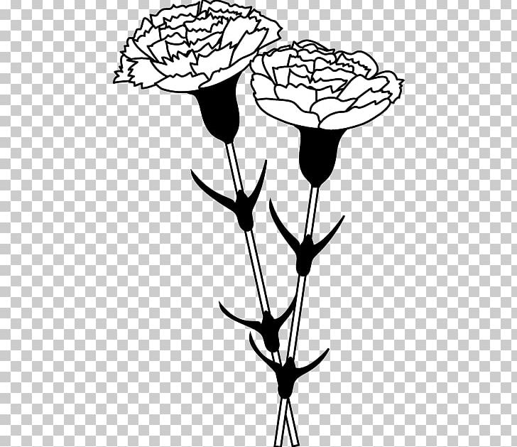 Black And White Carnation Monochrome Painting PNG, Clipart, Artwork, Black And White, Branch, Carnation, Carnation Flower Free PNG Download
