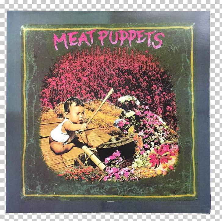 Meat Puppets II Up On The Sun Punk Rock Album PNG, Clipart, Album, Art, Big House, Flora, Flower Free PNG Download