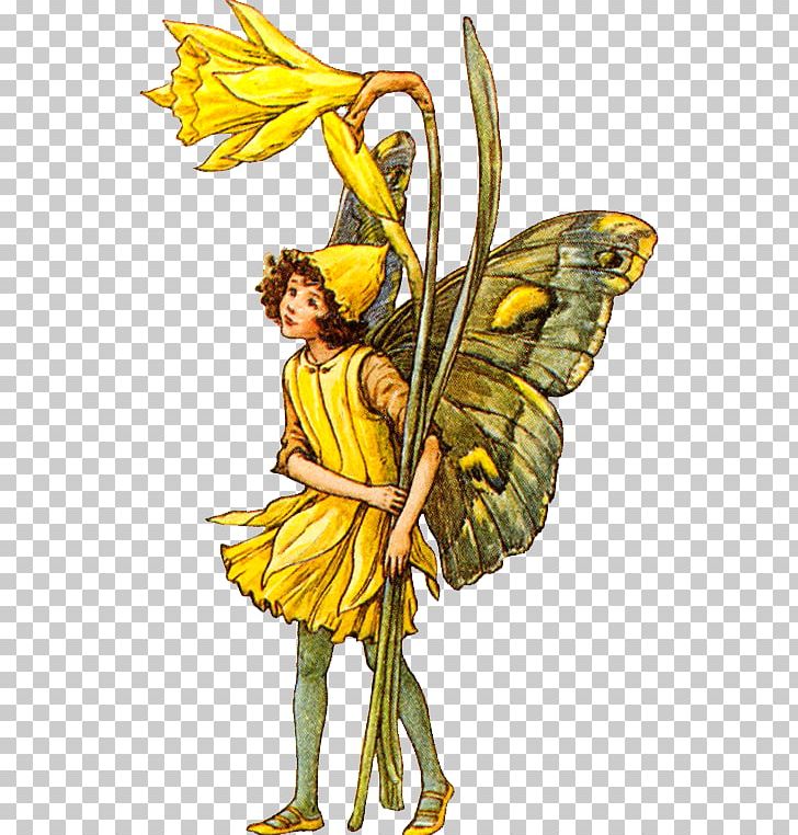 The Book Of The Flower Fairies A Flower Fairy Alphabet Flower Fairies Of The Garden Flower Fairies Of The Spring PNG, Clipart, Angel, Art, Artist, Book Of The Flower Fairies, Butte Free PNG Download
