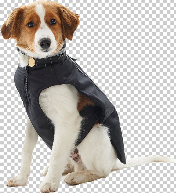 Beagle Maltipoo Bulldog Animal Canidae PNG, Clipart, Animal, Beagle, Black Pepper, Breed, Bulldog Free PNG Download