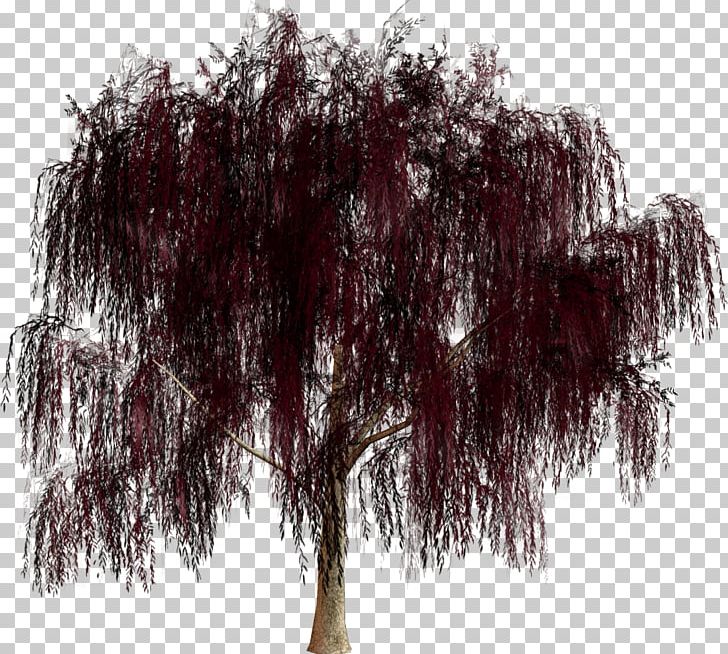 Tree Forest Park PNG, Clipart, Branch, Directory, Forest, Garden, Material Free PNG Download
