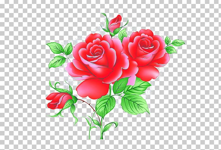 Garden Roses Beach Rose Centifolia Roses Red Petal PNG, Clipart, Animation, Artificial Flower, Centifolia Roses, Cut, Floribunda Free PNG Download