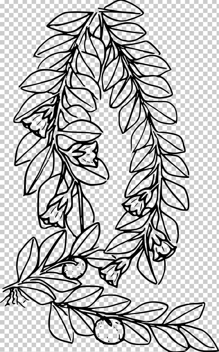 Line Art PNG, Clipart, Art, Bitki, Black, Black And White, Branch Free PNG Download