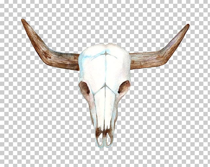 Texas Longhorn Cows Skull: Red PNG, Clipart, Antler, Bone, Bull, Cattle, Cattle Like Mammal Free PNG Download