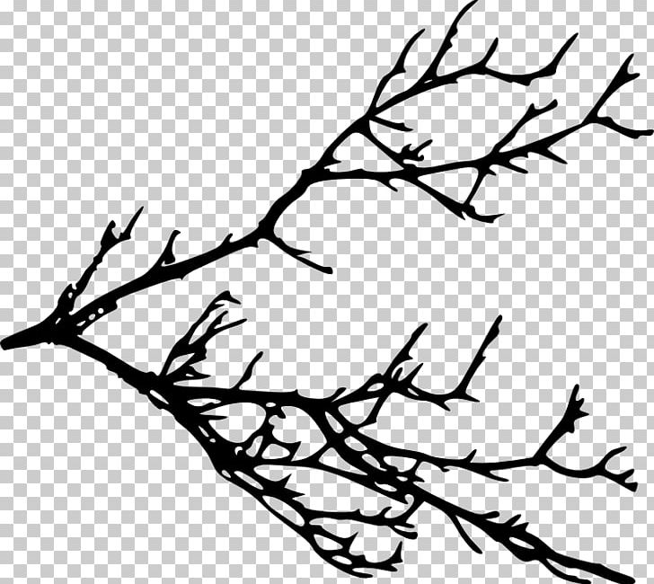 Twig Silhouette Branch PNG, Clipart, Animals, Beak, Bird, Black And White, Branch Free PNG Download