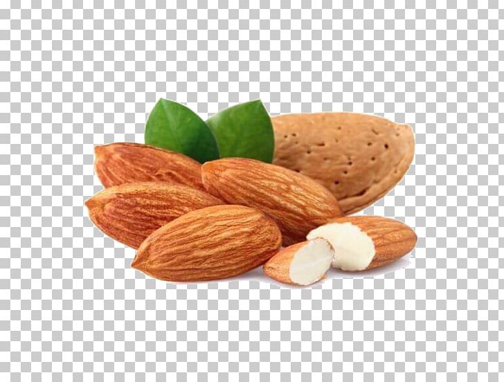 Almond Butter Nut Food Cashew PNG, Clipart, Almond, Almond Oil, Blanching, Commodity, Dried Fruit Free PNG Download
