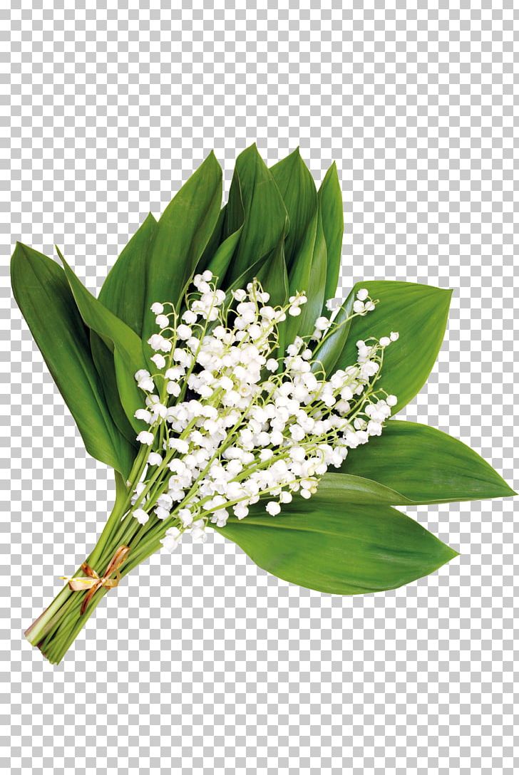 Flower Floral Design Gift PNG, Clipart, Bouquet Of Flowers, Computer Software, Cut Flowers, Download, Floristry Free PNG Download