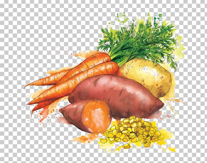 Vegetable Heinz Baby Food Watercolor Painting PNG, Clipart, Animal Source Foods, Art, Baby Food, Carrot, Drawing Free PNG Download