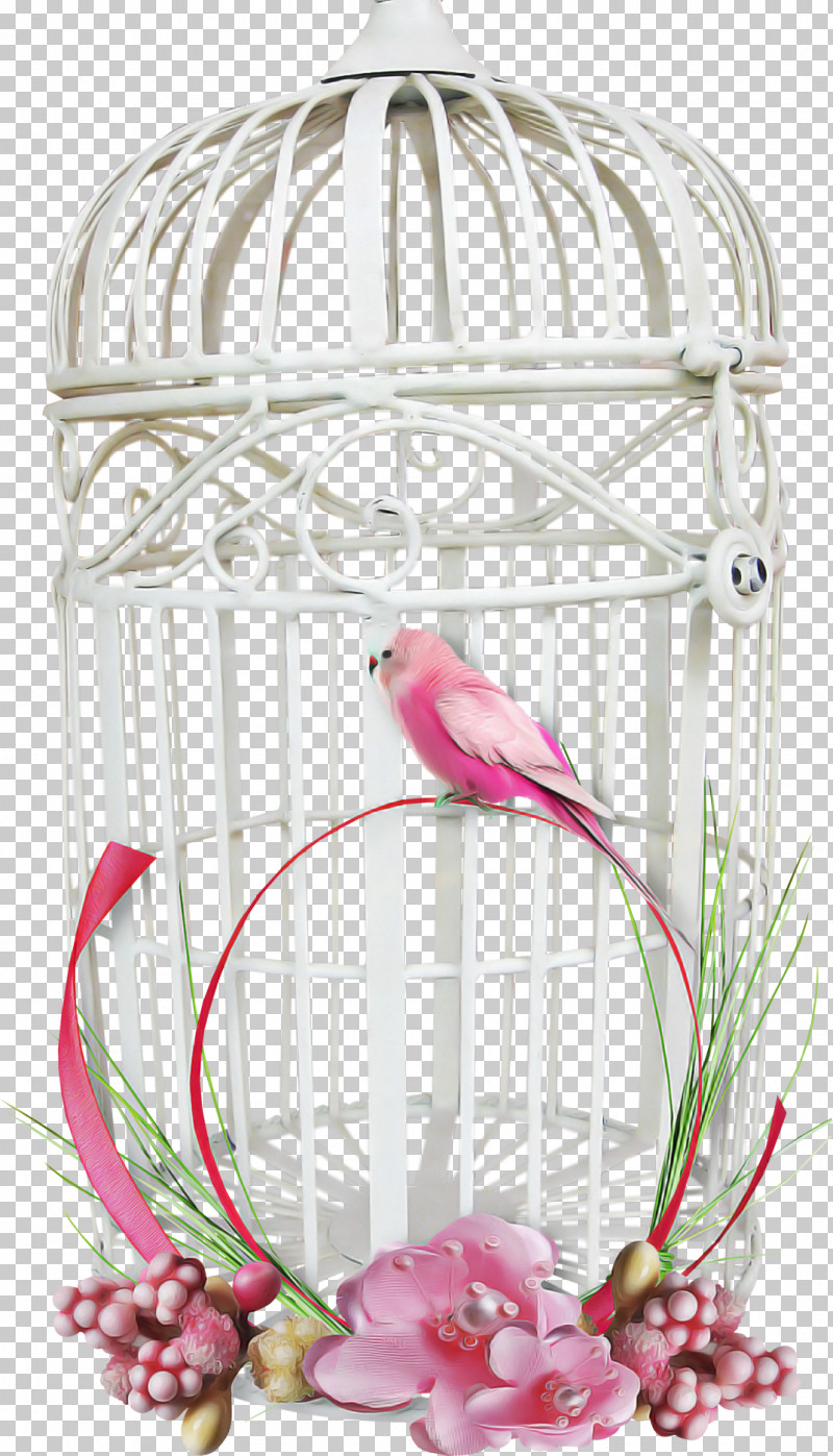 Cage Bird Supply Bird Pet Supply Plant PNG, Clipart, Bird, Bird Supply, Cage, Pet Supply, Plant Free PNG Download