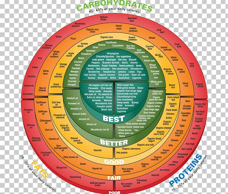 Food Carbohydrate Protein Health Meal PNG, Clipart, Area, Carbohydrate, Circle, Cooking, Course Free PNG Download