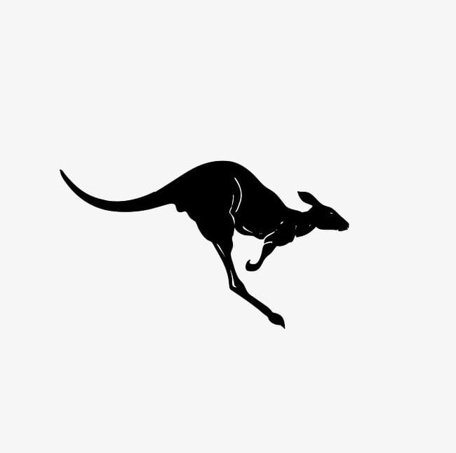 Featured image of post Kangaroo Silhouette Free Brown kangaroo kangaroo a kangaroo mammal animals png