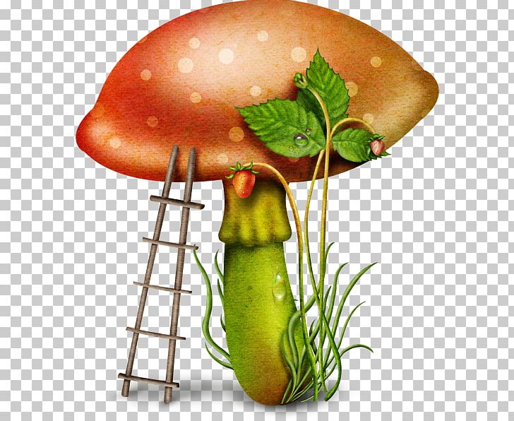 Fungus Mushroom PNG, Clipart, Book Ladder, Cartoon Ladder, Clip Art, Creative Ladder, Diet Food Free PNG Download